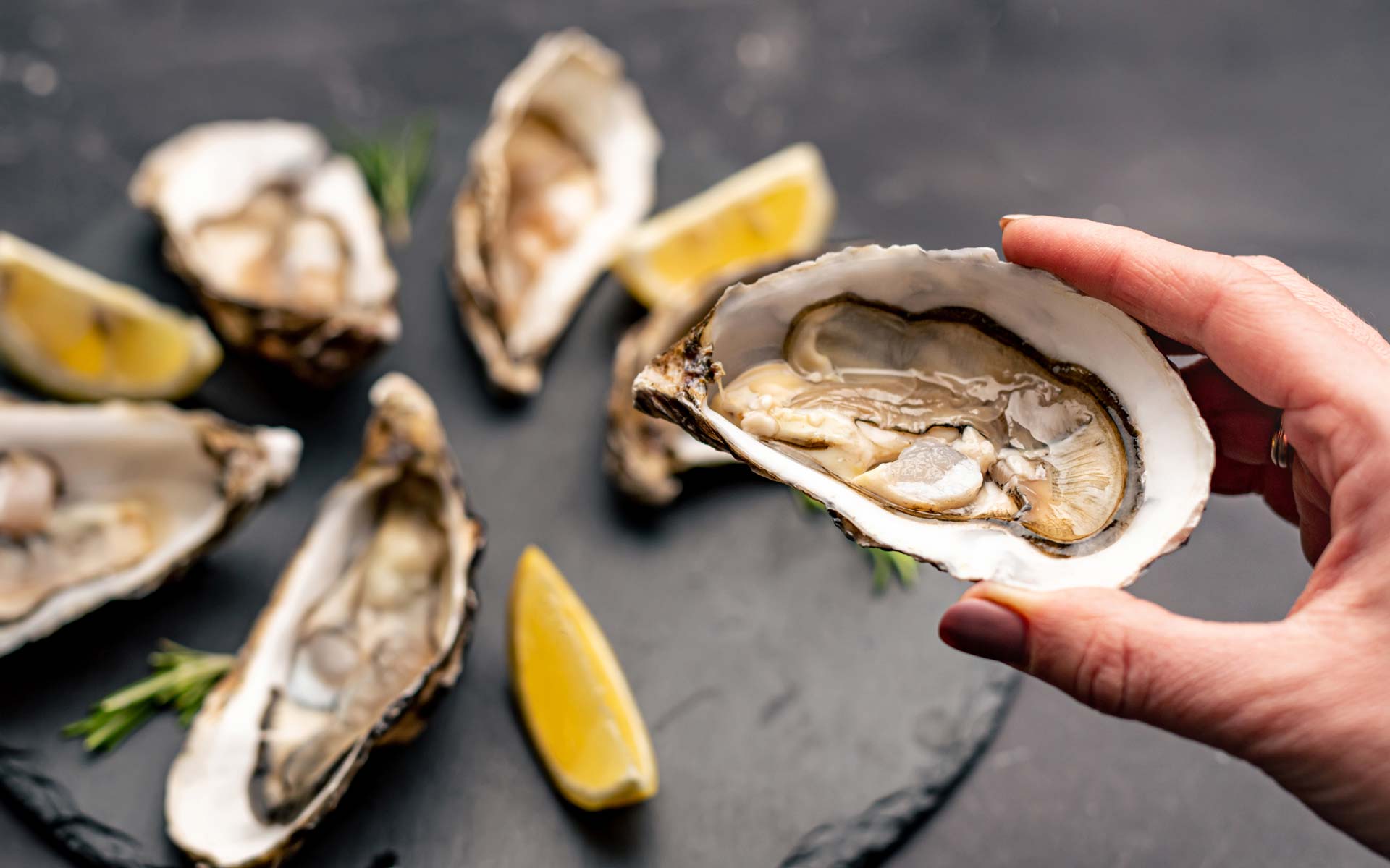 Huîtres de Bouzigues médaillées d'or